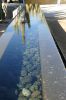 PICTURES/Desert Botanical Gardens - Wild Rising Cracking Art/t_Reflecting Pool.JPG